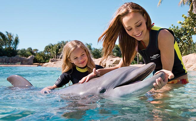 Swimming with Dolphins in Discovery Cove