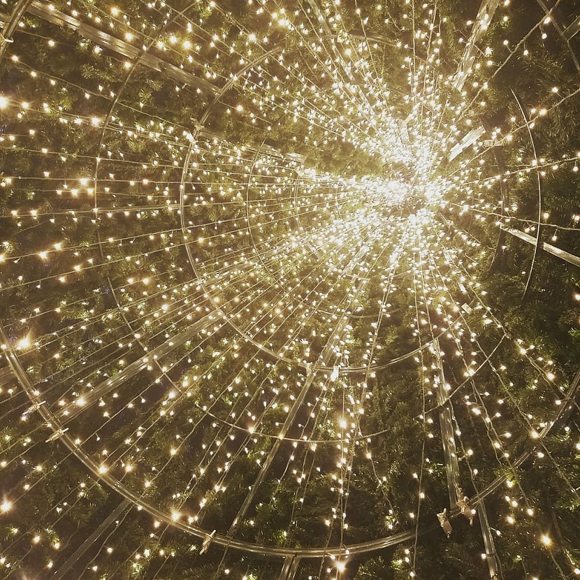 The Tree of Lights