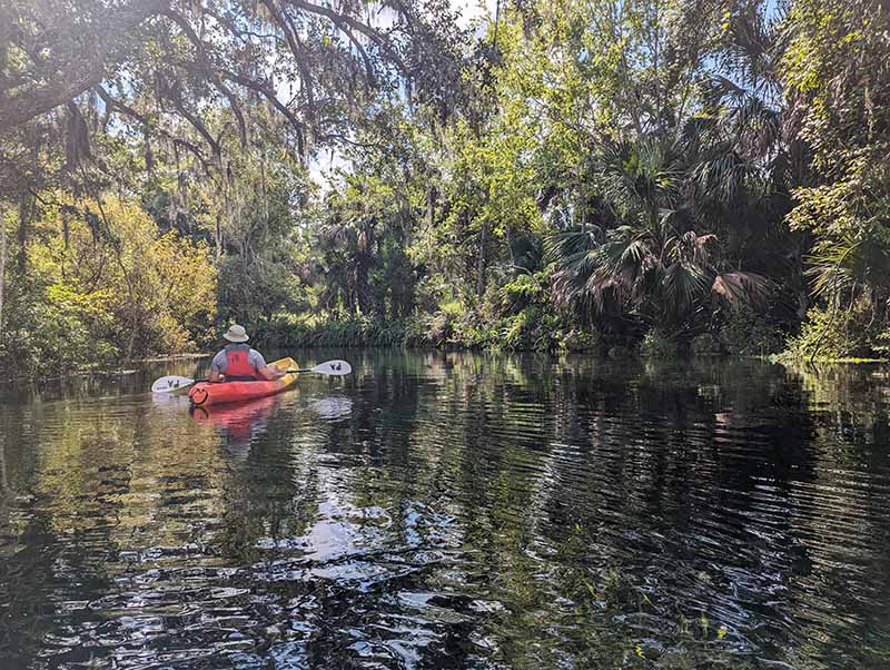 Do we recommend this Florida spring for your next kayak adventure? It's a nice rental, but there might be places less explored.